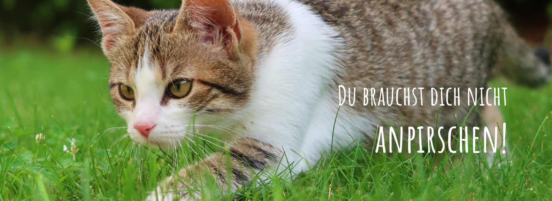 HeaderBild