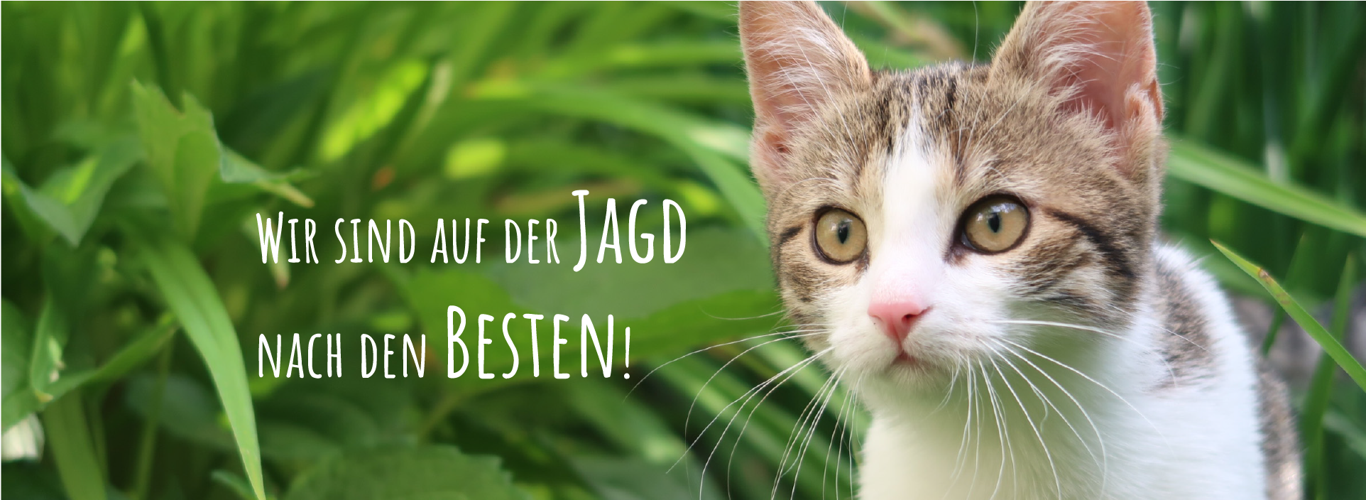 HeaderBild
